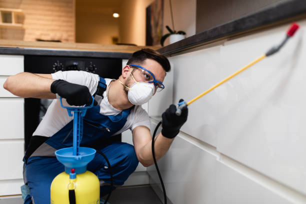 Best Residential Pest Control  in La Vale, MD