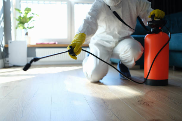 Professional Pest Control in La Vale, MD