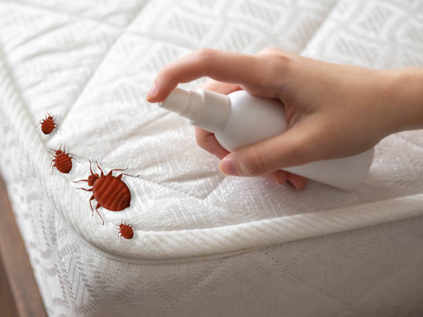 Best Best Pest Control Companies  in La Vale, MD